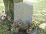 image of grave number 849694